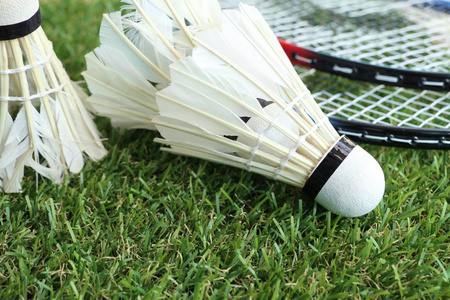 屡屡化解芬 屡屡化解芬